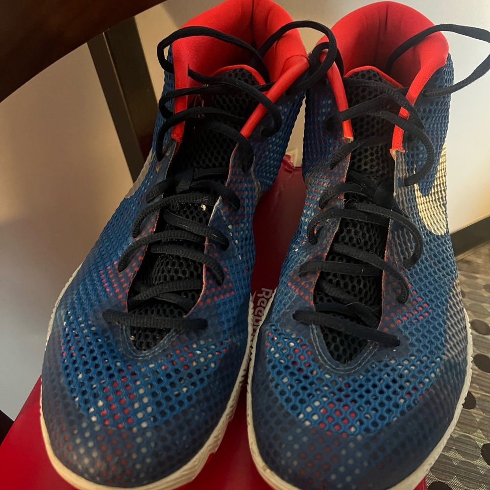 Nike Blue and Red Mesh Athletic Shoes